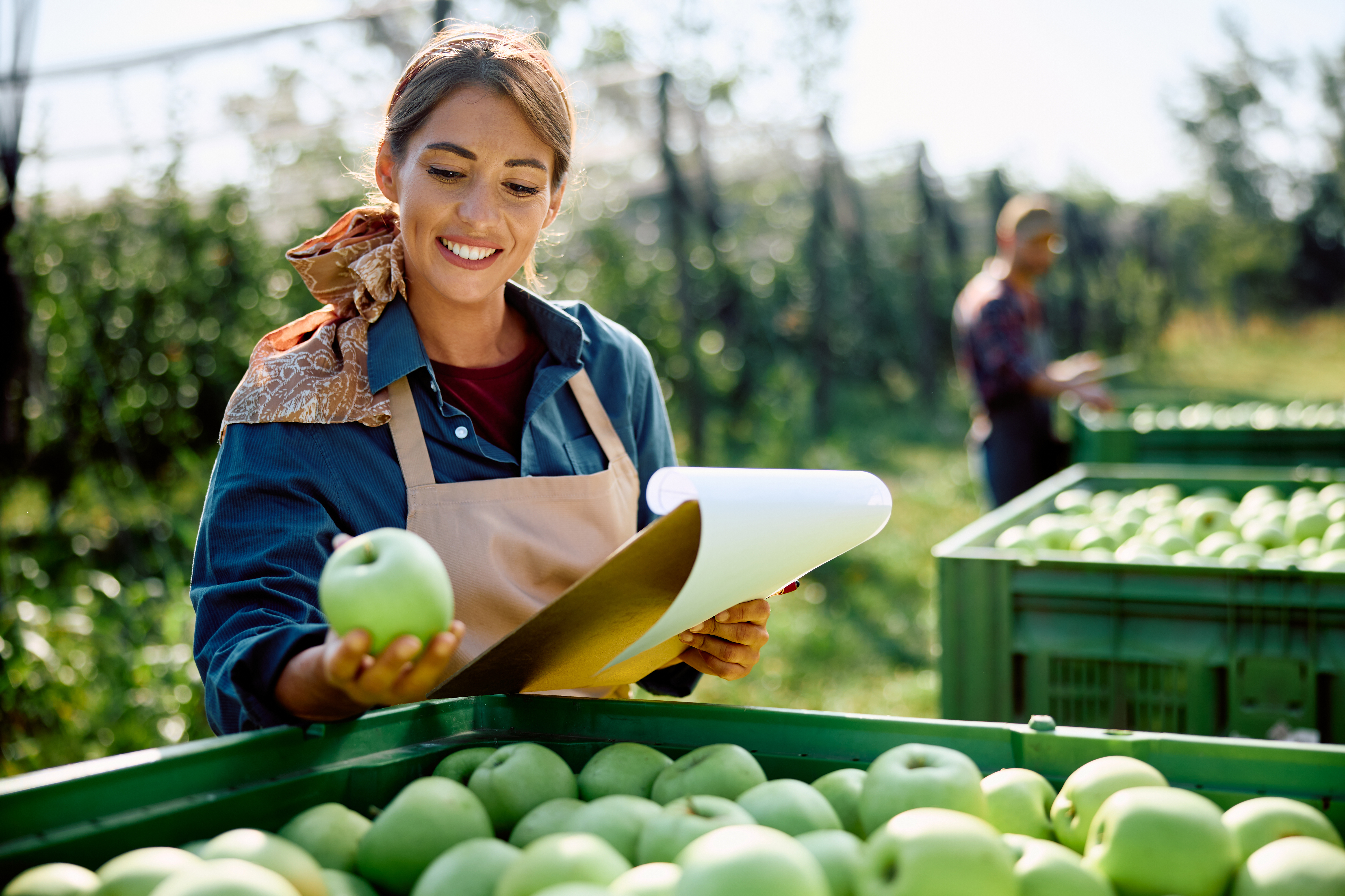 Inspector realizando controles de calidad en un cultivo agrícola para procesos de certificación e inocuidad alimentaria.