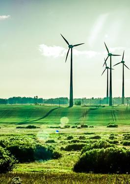 turbinas eólicas