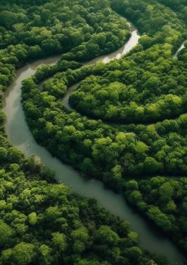 arboles verdes elevan encima tranquila pradera