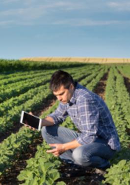 hombre en campo de cultivo con tablet en la mano