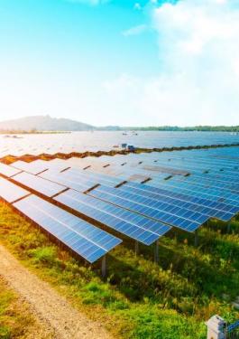 Campo de paneles solares