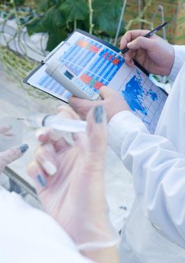 Científicos revisando datos